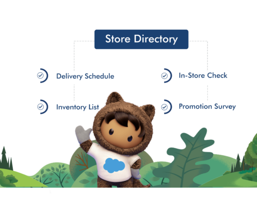 Salesforce Managed Services For Retail