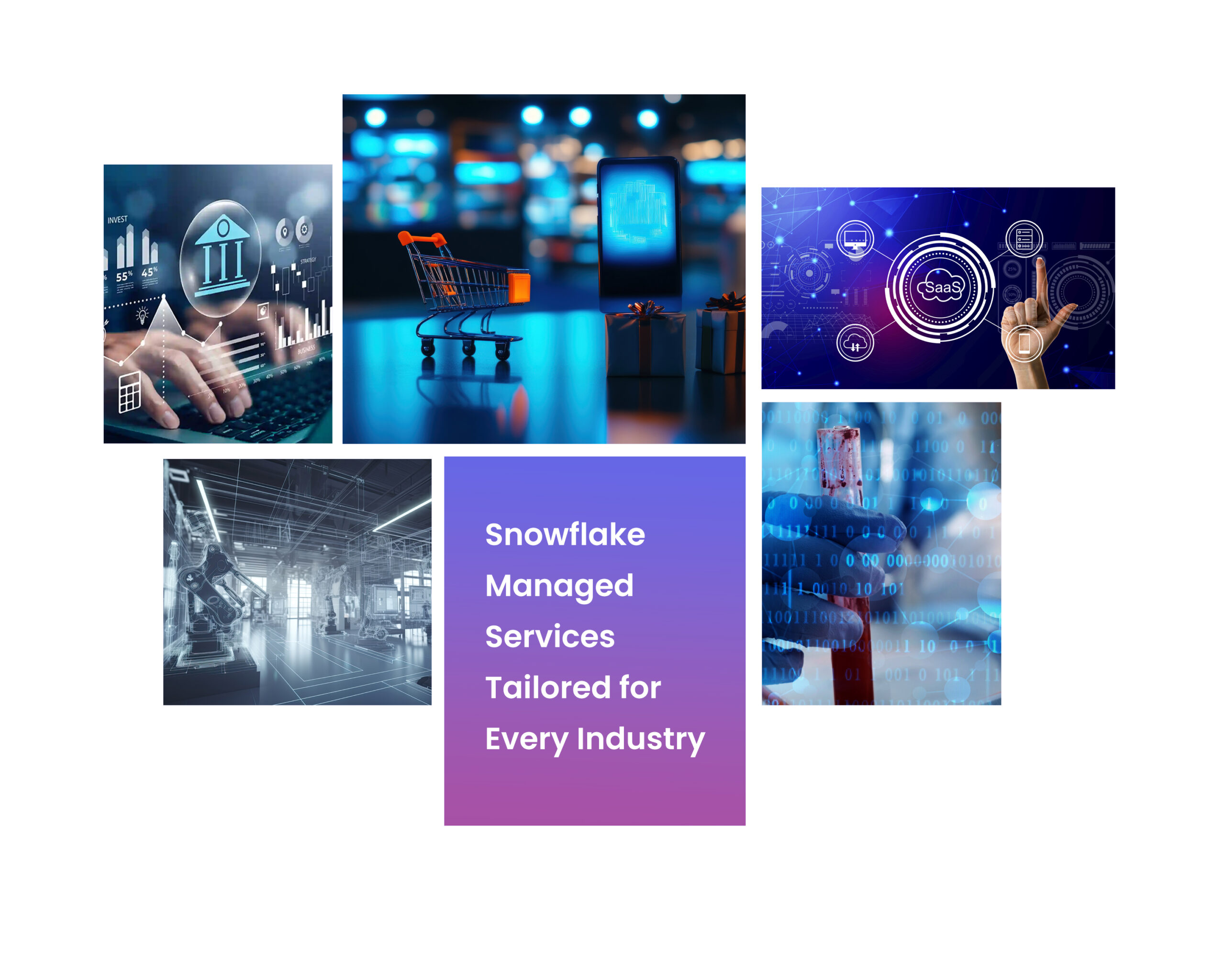 snowflake managed services foe every industry