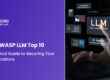 OWASP LLM Top 10