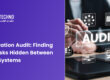 Integration Audit Services