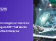 NetSuite Integration Service